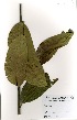  ( - GH0257)  @11 [ ] No Rights Reserved  Unspecified Unspecified