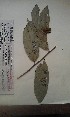  (Dasylepis brevipedicellata - FHO-DB265)  @11 [ ] Copyright (2013) Unspecified University of Oxford, Department of Plant Sciences