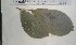  ( - FHO-DB6517)  @11 [ ] Copyright (2013) Unspecified University of Oxford, Department of Plant Sciences