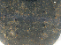  ( - UNEIECOL00201)  @11 [ ] by-nc-sa  Unspecified UNE