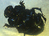  ( - UNEIECOL00010)  @11 [ ] CreativeCommons - Attribution Non-Commercial Share-Alike  Unspecified Unspecified