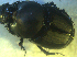  ( - UNEIECOL00011)  @11 [ ] CreativeCommons - Attribution Non-Commercial Share-Alike  Unspecified Unspecified