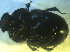 ( - UNEIECOL00011)  @11 [ ] CreativeCommons - Attribution Non-Commercial Share-Alike  Unspecified Unspecified
