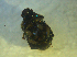  ( - UNEIECOL00018)  @11 [ ] CreativeCommons - Attribution Non-Commercial Share-Alike  Unspecified Unspecified