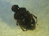  ( - UNEIECOL00019)  @11 [ ] CreativeCommons - Attribution Non-Commercial Share-Alike  Unspecified Unspecified