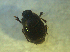  ( - UNEIECOL00020)  @11 [ ] CreativeCommons - Attribution Non-Commercial Share-Alike  Unspecified Unspecified