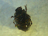  ( - UNEIECOL00020)  @11 [ ] CreativeCommons - Attribution Non-Commercial Share-Alike  Unspecified Unspecified