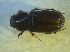  ( - UNEIECOL00025)  @11 [ ] CreativeCommons - Attribution Non-Commercial Share-Alike  Unspecified Unspecified