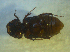  ( - UNEIECOL00025)  @11 [ ] CreativeCommons - Attribution Non-Commercial Share-Alike  Unspecified Unspecified