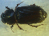  ( - UNEIECOL00027)  @11 [ ] CreativeCommons - Attribution Non-Commercial Share-Alike  Unspecified Unspecified