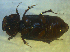  ( - UNEIECOL00027)  @11 [ ] CreativeCommons - Attribution Non-Commercial Share-Alike  Unspecified Unspecified