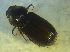  ( - UNEIECOL00028)  @11 [ ] CreativeCommons - Attribution Non-Commercial Share-Alike  Unspecified Unspecified