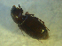  ( - UNEIECOL00029)  @11 [ ] CreativeCommons - Attribution Non-Commercial Share-Alike  Unspecified Unspecified