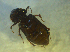  ( - UNEIECOL00029)  @11 [ ] CreativeCommons - Attribution Non-Commercial Share-Alike  Unspecified Unspecified