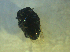  ( - UNEIECOL00030)  @11 [ ] CreativeCommons - Attribution Non-Commercial Share-Alike  Unspecified Unspecified