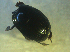  ( - UNEIECOL00032)  @11 [ ] CreativeCommons - Attribution Non-Commercial Share-Alike  Unspecified Unspecified