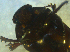 ( - UNEIECOL00051)  @11 [ ] CreativeCommons - Attribution Non-Commercial Share-Alike  Unspecified Unspecified
