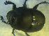  ( - UNEIECOL00009)  @11 [ ] CreativeCommons - Attribution Non-Commercial Share-Alike  Unspecified Unspecified