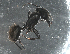  ( - UNEIE00008)  @13 [ ] CreativeCommons  Attribution Non-Commercial Share-Alike  Unspecified University of New England, Australia
