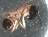  ( - UNEIE00014)  @12 [ ] CreativeCommons  Attribution Non-Commercial Share-Alike  Unspecified University of New England, Australia