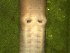  ( - UP18-1296-10A2)  @11 [ ] Unspecified (default): All Rights Reserved  Unspecified Unspecified