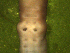 ( - UP18-1297-10A3)  @11 [ ] Unspecified (default): All Rights Reserved  Unspecified Unspecified