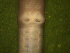  ( - UP18-1300-11A2)  @11 [ ] Unspecified (default): All Rights Reserved  Unspecified Unspecified