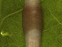  ( - MP18-1243-2A2)  @11 [ ] Unspecified (default): All Rights Reserved  Unspecified Unspecified