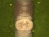  ( - MP18-1248-2A7)  @11 [ ] Unspecified (default): All Rights Reserved  Unspecified Unspecified
