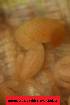  ( - EW-Z5-218)  @11 [ ] Unspecified (default): All Rights Reserved (2015) Shweta Yadav Dr Harisingh Gour Vishwavidyalaya,Sagar MP,India