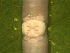  ( - MP18-1252-3A3)  @11 [ ] Unspecified (default): All Rights Reserved  Unspecified Unspecified