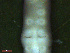  ( - UP18-1265-3A1)  @11 [ ] Unspecified (default): All Rights Reserved  Unspecified Unspecified