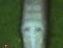  ( - UP18-1267-3A3)  @11 [ ] Unspecified (default): All Rights Reserved  Unspecified Unspecified