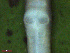  ( - UP18-1269-3A5)  @11 [ ] Unspecified (default): All Rights Reserved  Unspecified Unspecified