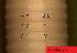  ( - EW-Z5-218)  @11 [ ] Unspecified (default): All Rights Reserved (2015) Shweta Yadav Dr Harisingh Gour Vishwavidyalaya,Sagar MP,India