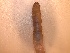  ( - MNP17-1119-45A16)  @11 [ ] Unspecified (default): All Rights Reserved (2017) Shweta Yadav Dr H S Gour Vishwavidylaya (Cental University),Sagar 470003 MP,India