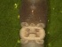  ( - MP18-1258-5A1)  @11 [ ] Unspecified (default): All Rights Reserved  Unspecified Unspecified