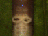  ( - UP18-1289-8A1)  @11 [ ] Unspecified (default): All Rights Reserved  Unspecified Unspecified