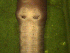  ( - UP18-1290-8A2)  @11 [ ] Unspecified (default): All Rights Reserved  Unspecified Unspecified