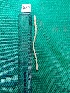 (Eutyphoeus tawi - MZ016A150570)  @11 [ ] Indian (2016) Shweta Yadav Dr H.S Gour Vishwavidylaya,Sagar
