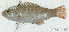  ( - S0001_019)  @11 [ ] CreativeCommons - Attribution Non-Commercial Share-Alike (2017) Henitsoa Jaonalison IH.SM, Toliara, Madagascar