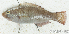  ( - S0001_024)  @11 [ ] CreativeCommons - Attribution Non-Commercial Share-Alike (2017) Henitsoa Jaonalison IH.SM, Toliara, Madagascar