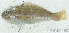  ( - S0001_034)  @11 [ ] CreativeCommons - Attribution Non-Commercial Share-Alike (2017) Henitsoa Jaonalison IH.SM, Toliara, Madagascar