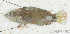  ( - S0004_072)  @11 [ ] CreativeCommons - Attribution Non-Commercial Share-Alike (2017) Henitsoa Jaonalison IH.SM, Toliara, Madagascar