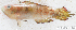  ( - S0004_082)  @11 [ ] CreativeCommons - Attribution Non-Commercial Share-Alike (2017) Henitsoa Jaonalison IH.SM, Toliara, Madagascar
