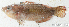  ( - S0004_084)  @11 [ ] CreativeCommons - Attribution Non-Commercial Share-Alike (2017) Henitsoa Jaonalison IH.SM, Toliara, Madagascar