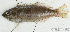  ( - S0005_072)  @11 [ ] CreativeCommons - Attribution Non-Commercial Share-Alike (2017) Henitsoa Jaonalison IH.SM, Toliara, Madagascar