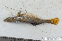  ( - S0006_038)  @11 [ ] CreativeCommons - Attribution Non-Commercial Share-Alike (2017) Henitsoa Jaonalison IH.SM, Toliara, Madagascar