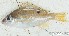  ( - S0007_004)  @11 [ ] CreativeCommons - Attribution Non-Commercial Share-Alike (2017) Henitsoa Jaonalison IH.SM, Toliara, Madagascar