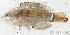  ( - S0008_004)  @11 [ ] CreativeCommons - Attribution Non-Commercial Share-Alike (2017) Henitsoa Jaonalison IH.SM, Toliara, Madagascar